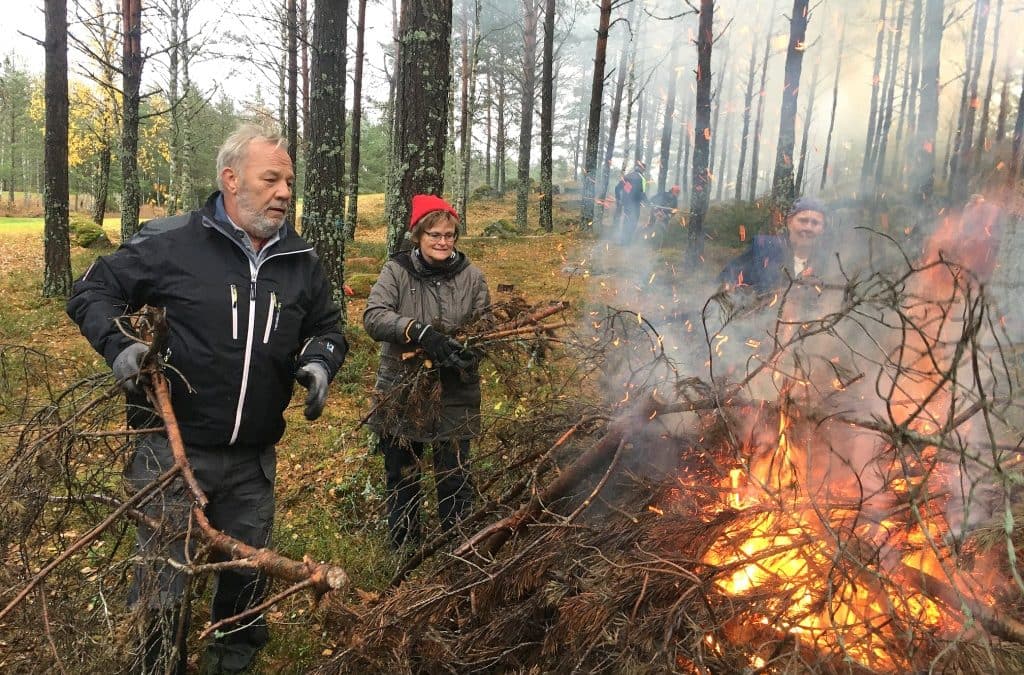 Nu är skogsröjarna igång
